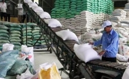 Xuất khẩu hơn 1,4 triệu tấn gạo trong qu&yacute; đầu năm